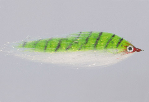 CF Baitfish Fly CF Baitfish Fly